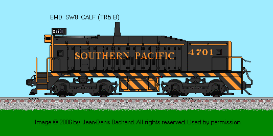 SP RR TR6 calf depicted here